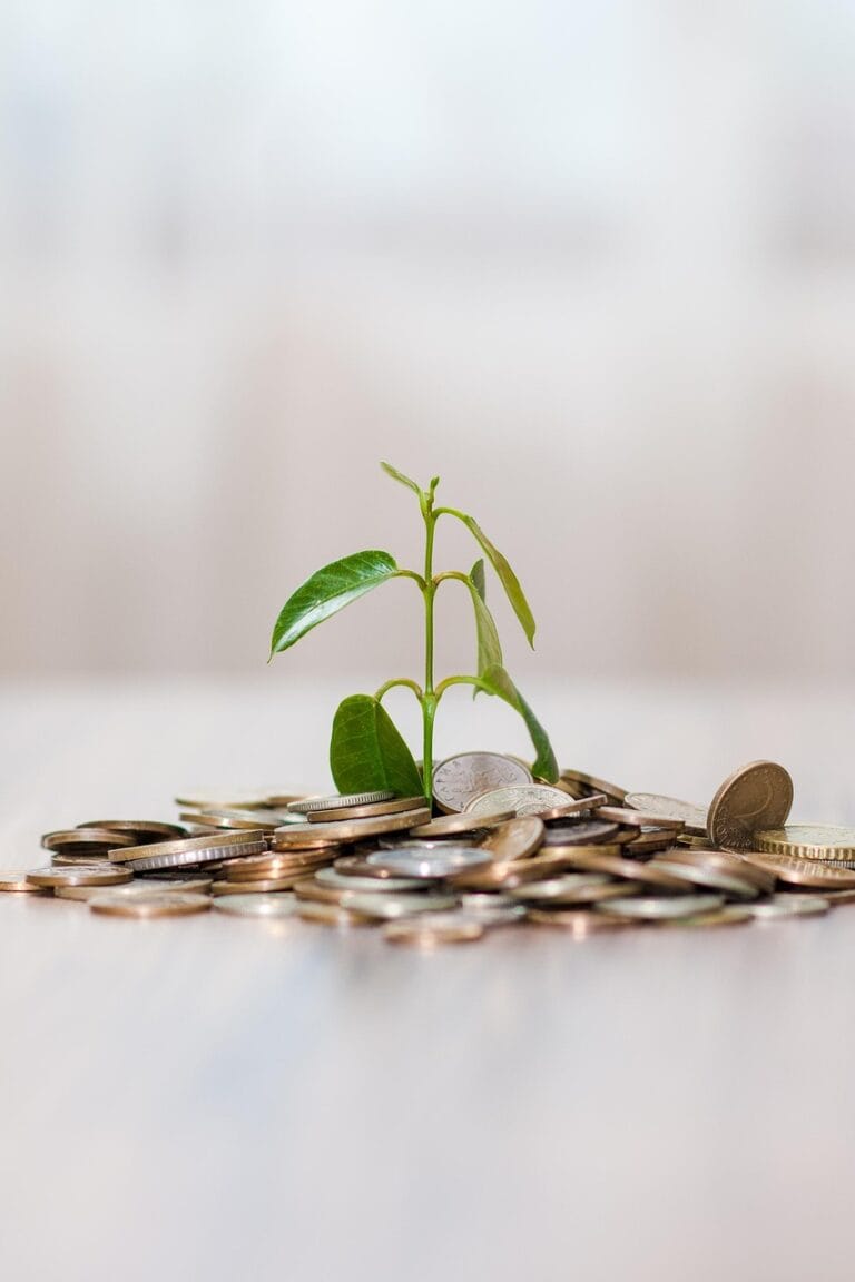 How to Invest in Mutual Funds for Beginners with Small Amounts